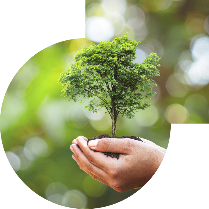 关怀人类、文化、环境与社会